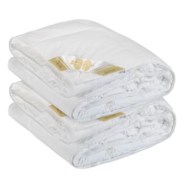 תמונה של שמיכת מעבר רויאל לייט